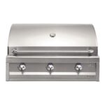 Artisan American Eagle Series Built-In Gas BBQ Grills