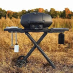 Napoleon Grills Phantom TravelQ PRO285X Gasgrill, Propan – Bild 14