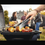 Napoleon Grills Phantom TravelQ PRO285X Gasgrill, Propan – Bild 13