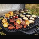Napoleon Grills Phantom TravelQ PRO285X Gasgrill, Propan – Bild 12