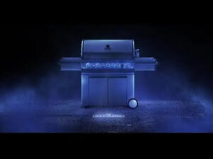 Napoleon Grills Prestige PRO 500 Gasgrill mit Infrarot-Seiten- und Heckbrennern, Edelstahl – Bild 13