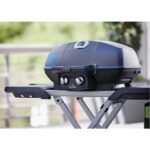 Napoleon Grills Travel PRO285X Portable Gas Grill on Scissor Cart