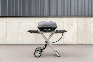 Napoleon Grills Travel PRO285X Portable Gas Grill on Scissor Cart