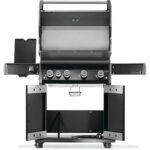 Napoleon Rogue PRO 525 Gasgrill mit Infrarot-Seitenbrenner – Bild 3