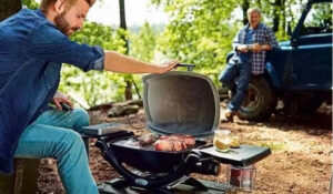 Weber Q 1200 Tragbarer Gasgrill